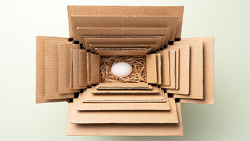 egg in a box