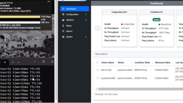 Rapid Tiger Exercise dashboard 2