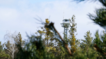 image of cell tower