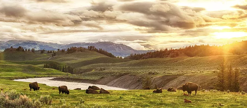 Department of Interior Blog Header