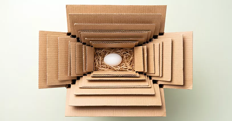 egg in a box